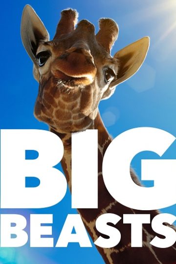 Big Beasts الموسم الاول الحلقة 10