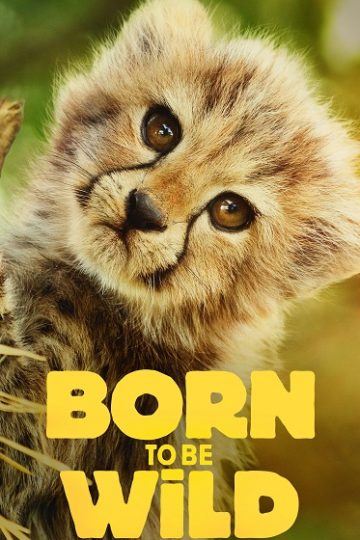 Born to be Wild الموسم الاول الحلقة 6