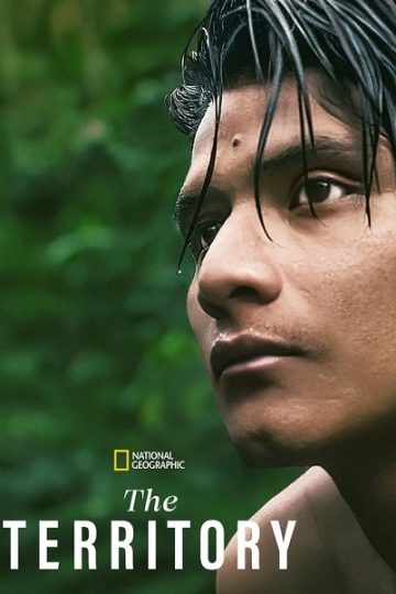 The Territory ( 2022 )