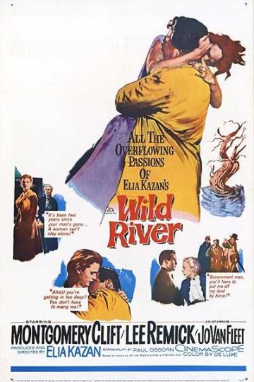 Wild River ( 1960 )