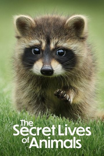 The Secret Lives of Animals الموسم الاول الحلقة 10