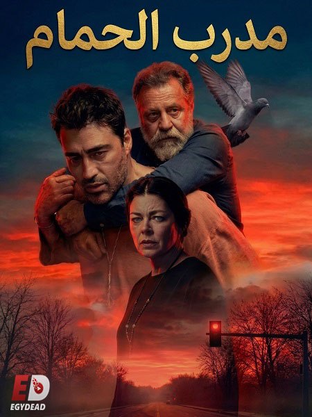 مشاهدة فيلم الفيلم التركي مدرب الحمام مدبلج 2026 اون لاين