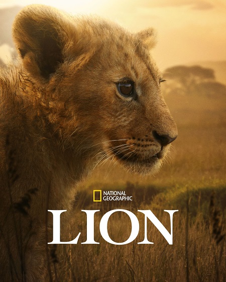مشاهدة مسلسل Lion الحلقة 2
